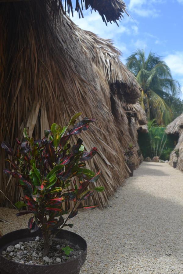Hakuna Matata Glamping Bacalar Exteriör bild